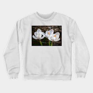 Three Crocus Crewneck Sweatshirt